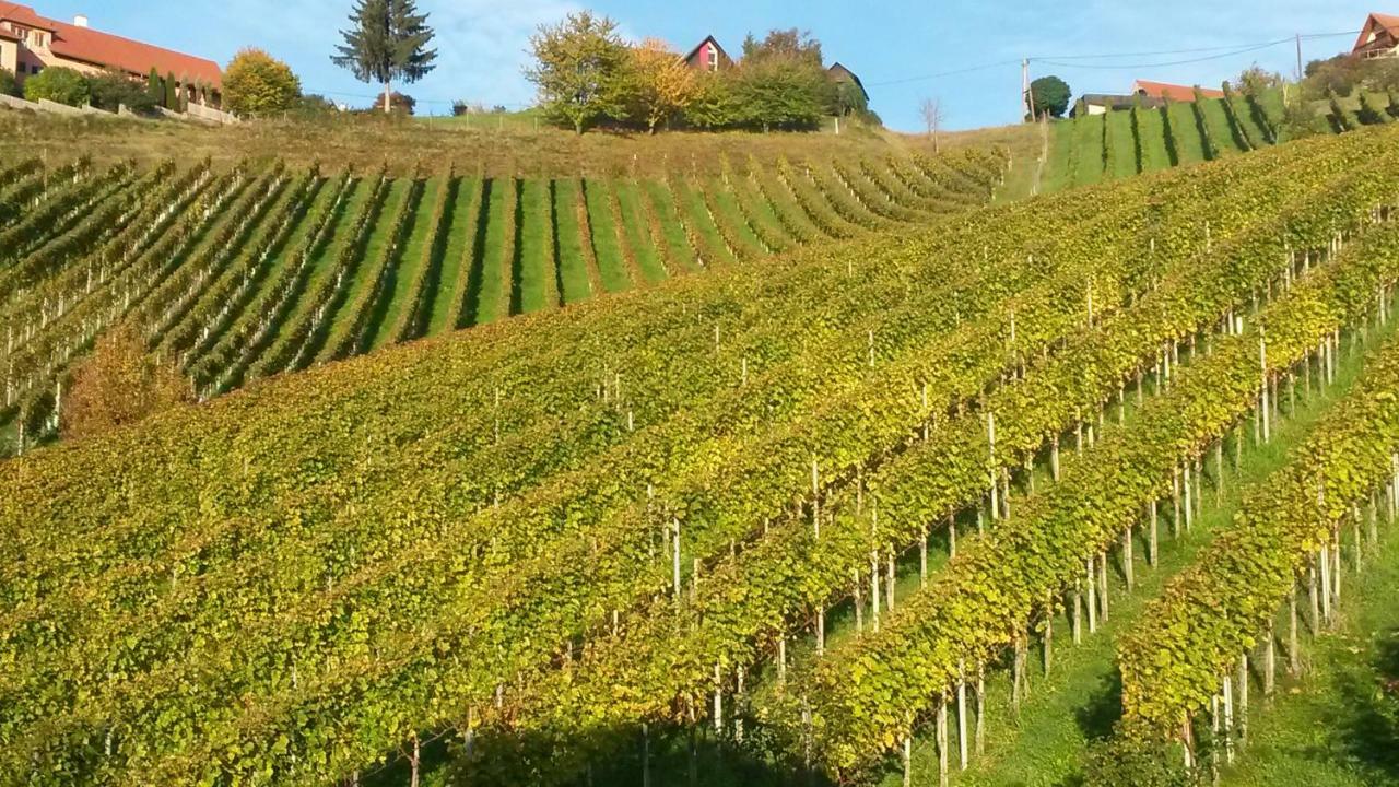Weingut Stoff Bed & Breakfast Kitzeck im Sausal Luaran gambar